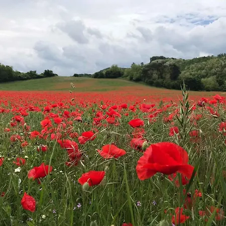 In - Nordtransdanubien 20390 Апартаменты *