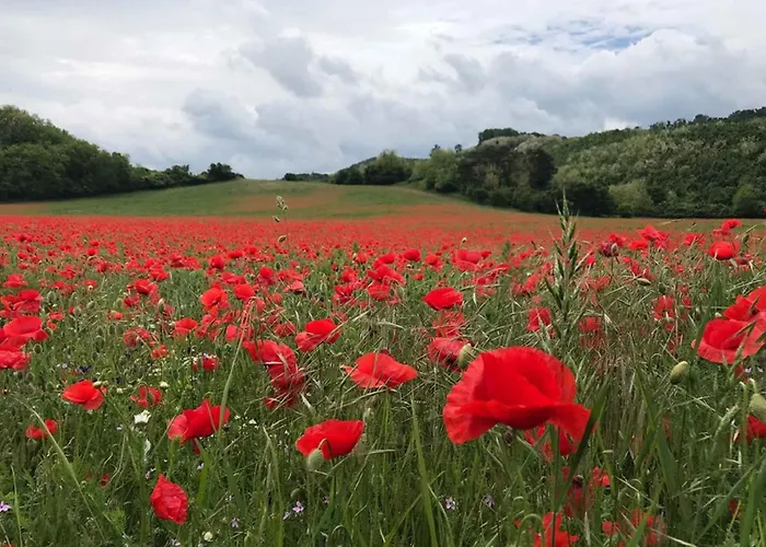 In - Nordtransdanubien 20390 Апартаменты *
